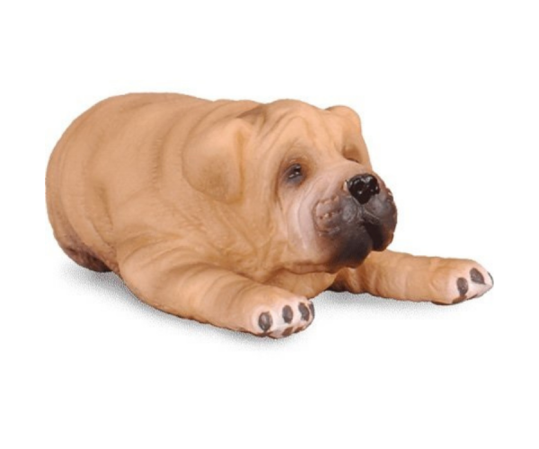 COLL88194 - Cucciolo Sharpei sdraiato - 1