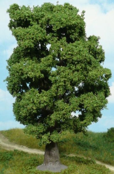 HEK1940 - Quercia 18 cm - 1