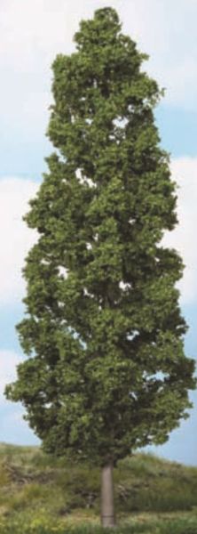 HEK1982 - Faggi 27 cm - 1
