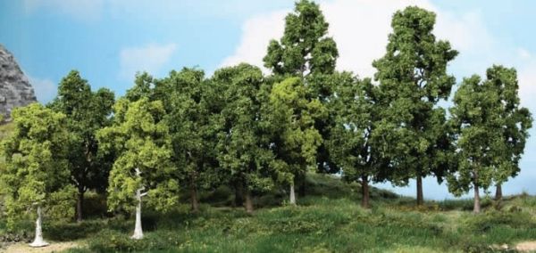 HEK1991 - Set di 15 alberi a foglia 10-18 cm - 1