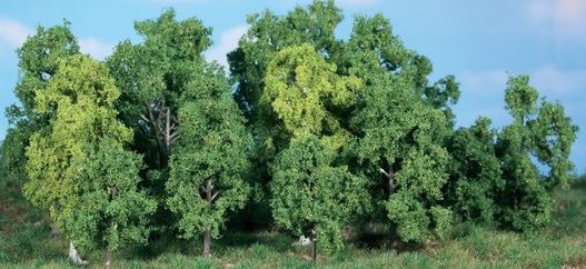 HEK1992 - 14 Alberi a foglie caduche 5-12 cm - 1