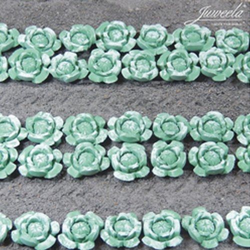 JUW23363 - 36 Cavoli/Insalate - 1