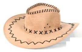LP00008 - Cappello da cowboy beige - 1