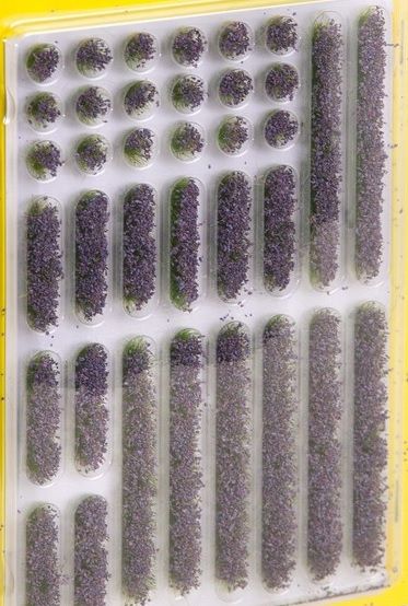 NOC07136 - Fagotto di cespi di lavanda - 1