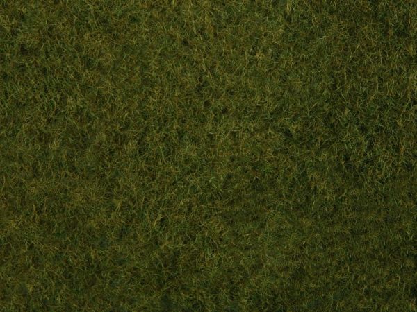 NOC07282 - Fogliame di erbe selvatiche; verde scuro 20 x 23 cm - 1