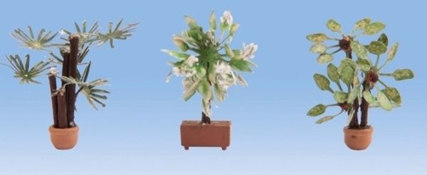 NOC14023 - piante mediterranee - 1