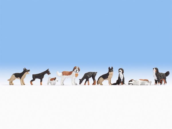 NOC15717 - Lotto di vari cani - 1