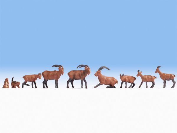 NOC15742 - animali alpini - 1