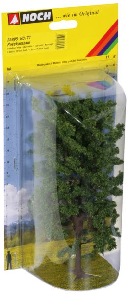 NOC25895 - Castagno 19 cm - 1