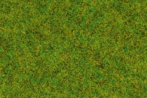NOC50210 - Erba; verde medio - 100 g - 2;5 mm - 1