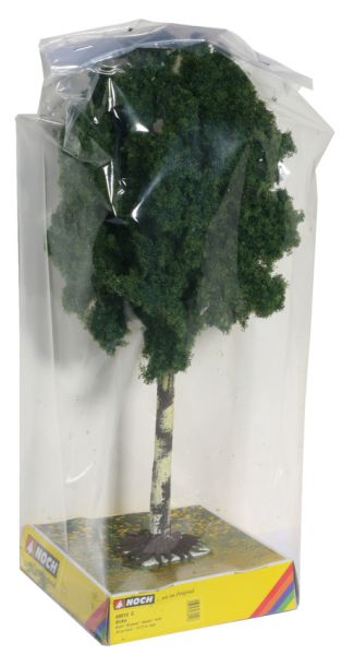 NOC68010 - Altezza betulla 35 cm - 1