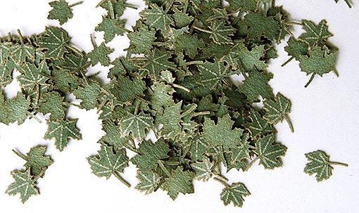 PLS253 - Foglie d'acero verdi in miniatura da 4 mm per diorama - 1