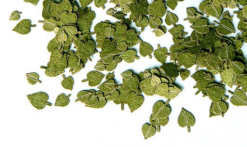 PLS254 - Foglie di tiglio verde in miniatura da 4 mm per diorama - 1