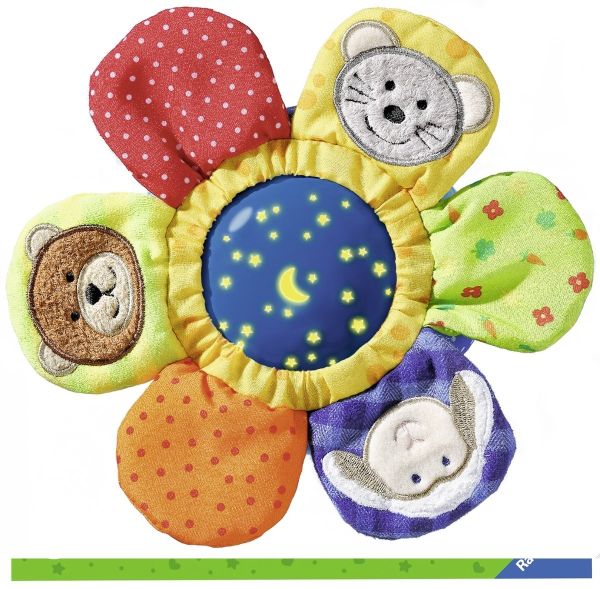 RAV044566 - Luce notturna di fiori - 1