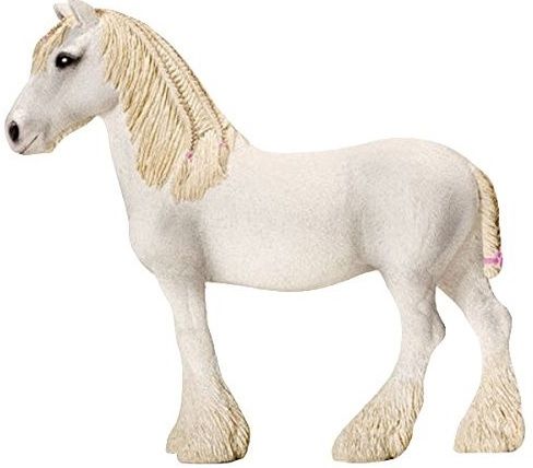 SHL13735 - Shire cavalla - 1