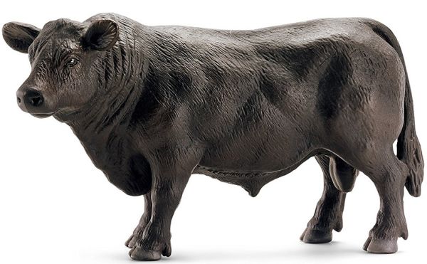 SHL13766 - Angus toro - 1