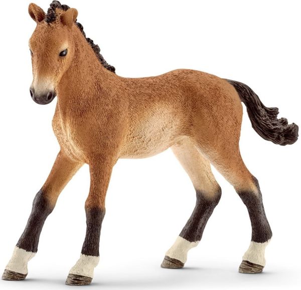 SHL13804 - Puledro del Tennessee Walker - 1
