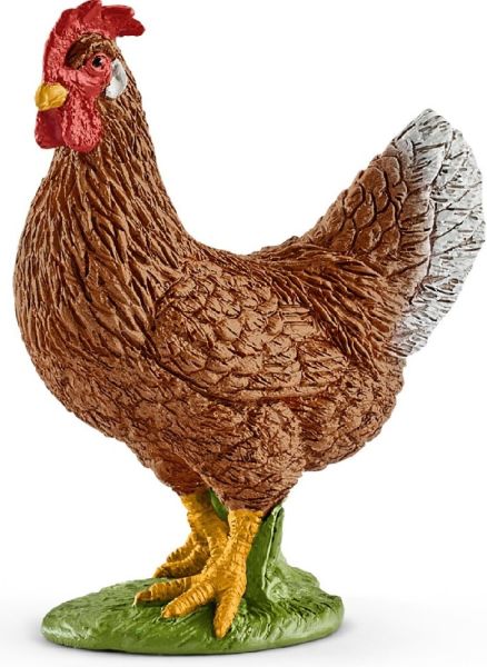 SHL13826 - Gallina - 1