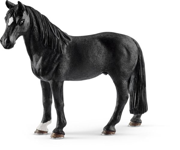 SHL13832 - Tennessee Walker Gelding - 1