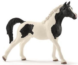 SHL13840 - Stallone pintabico - 1