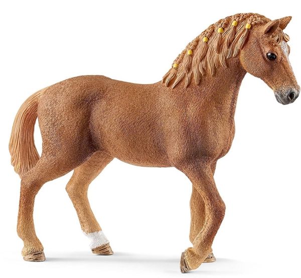 SHL13852 - Quarter Horse Mare - 1