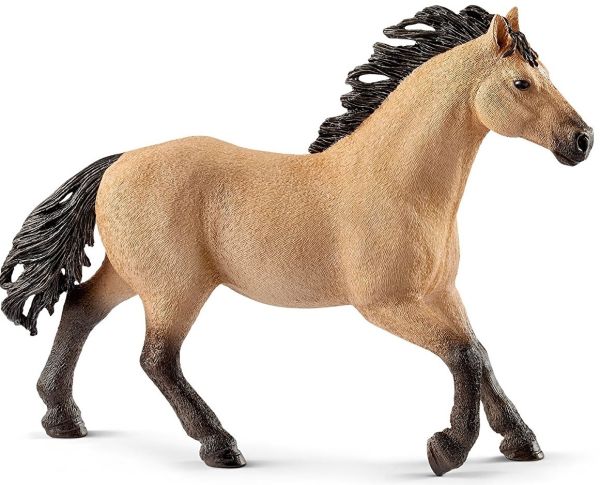 SHL13853 - Stallone Quarter Horse - 1