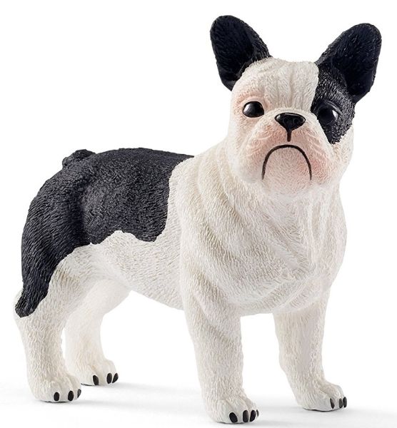 SHL13877 - Bulldog francese - 1
