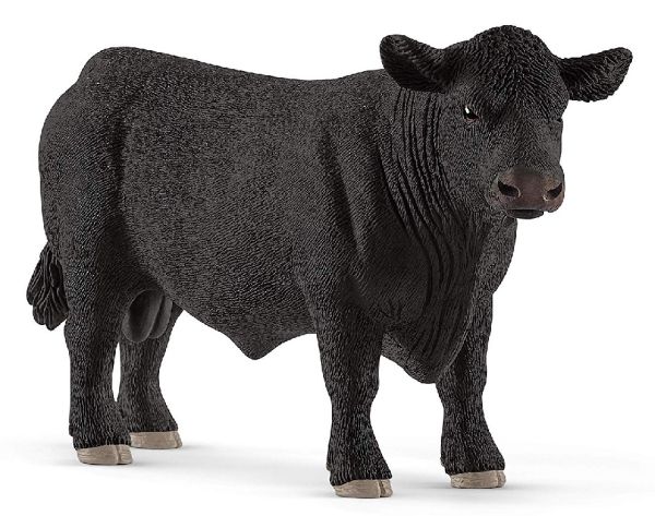 SHL13879 - Angus toro - 1