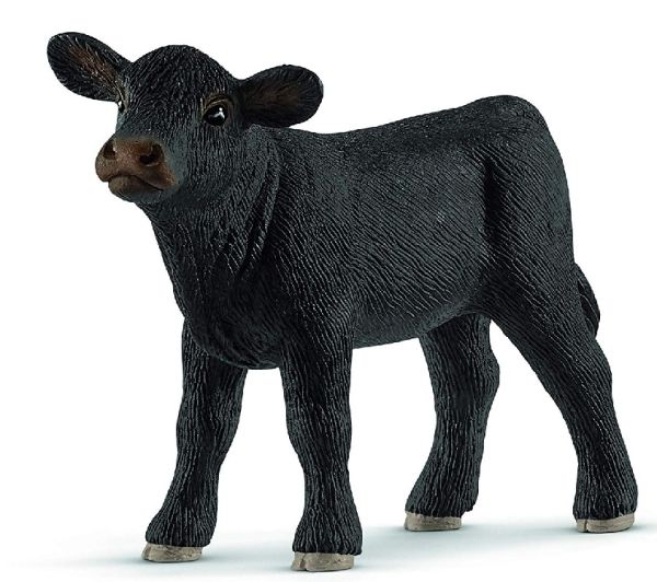 SHL13880 - Angus vitello - 1