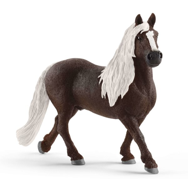 SHL13897 - Stallone della Foresta Nera - 1