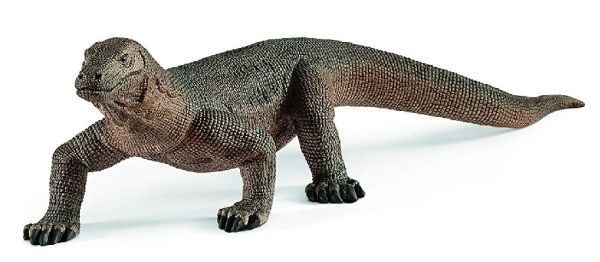 SHL14826 - Drago di Komodo - 1