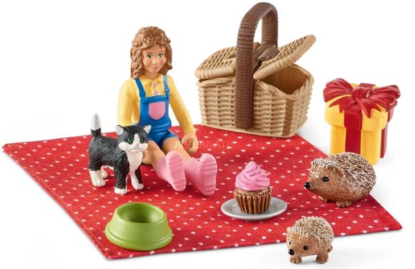 SHL42426 - picnic di compleanno - 1
