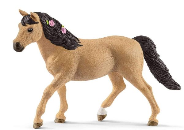 SHL13863 - Pony Connemara femmina - 1