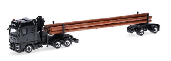 HER320580 - MAN TGX GX 6x4 trasporto legname WALTER HOLZTRANSPORTE - 1