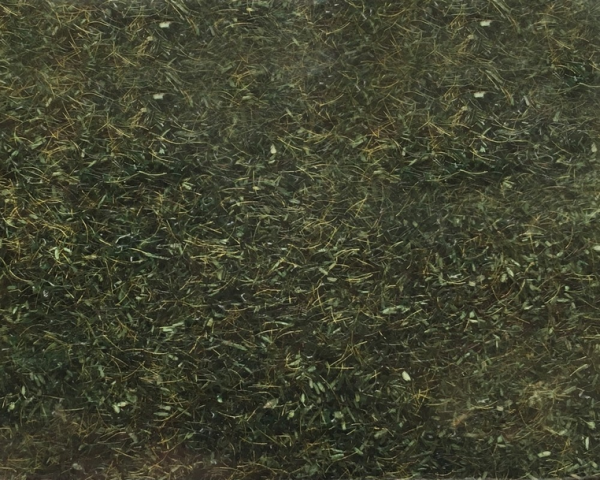 NOC08350 - Erba forestale - 2;5 mm - 20 g - 1