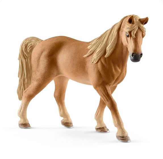 SHL13833 - Cavalla Tennessee Walker - 1