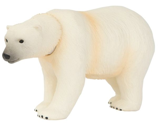 T16045 - Orso polare - 1