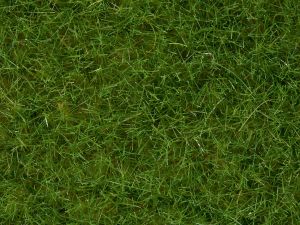 NOC07092 - Vaso di floccaggio verde chiaro 100g 6mm