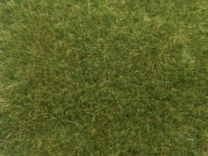 NOC07118 - Erbe selvatiche; Verde medio 9mm 50g