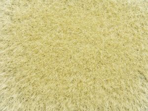 NOC07119 - Erbe selvatiche; giallo 9mm 50g