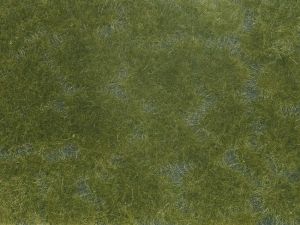 NOC07252 - Fogliame vegetale; verde scuro 12x18 cm