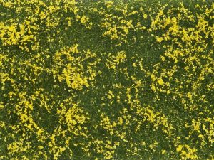 NOC07255 - Fogliame vegetale; Prato giallo 12x18 cm