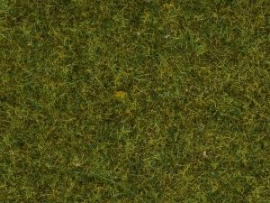 NOC08361 - Pre erbe - 4 mm - 20 g