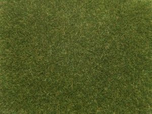 NOC08364 - Erbe verde medio 4mm 20g