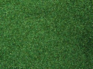 NOC08372 - Materiale floccaggio verde medio - 200 g
