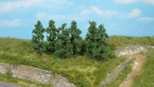 HEK1171 - 6 alberi di pere da 6 cm