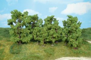 HEK1415 - 12 alberi 6-13 cm
