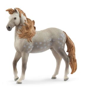 SHL14895 - Stallone Andaluso