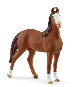 SHL14897 - Cavalla Marwari