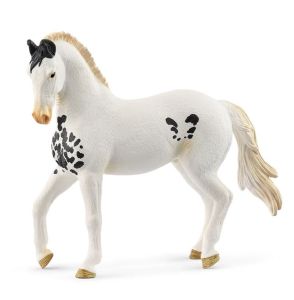 SHL14898 - Stallone Marwari